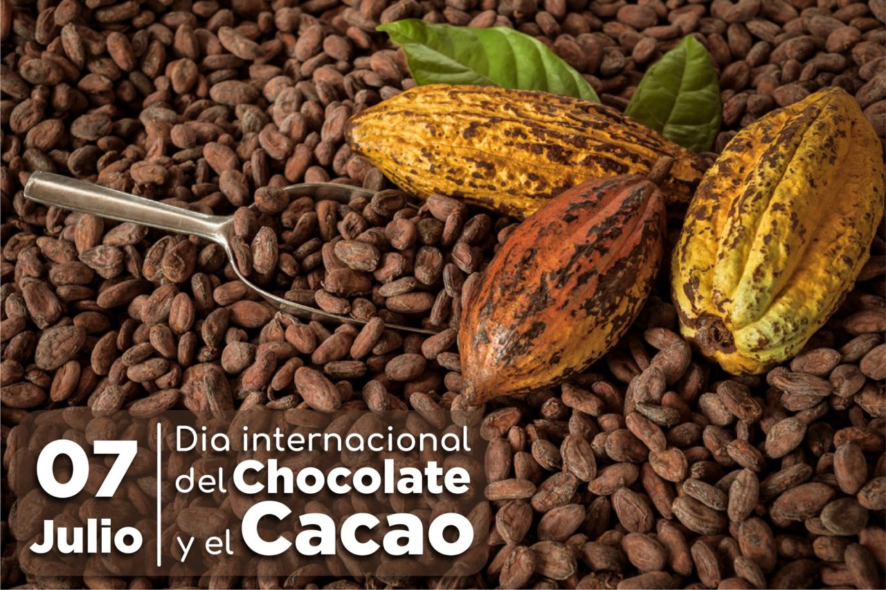 7 De Julio Día Mundial Del Cacao 8291