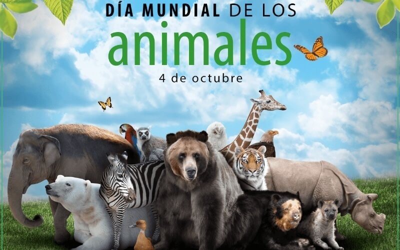 4 de Octubre Día Mundial de los Animales Teleantillas