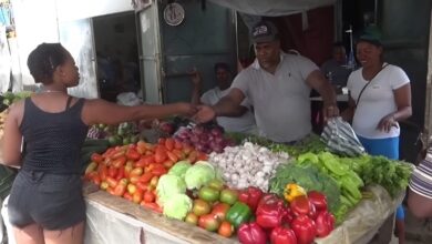 Altos precios de alimentos mantienen preocupadas a mujeres en Dajabón