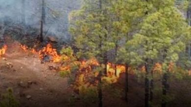 Imponen multa de 25 mil pesos a hombre que produjo incendios forestales en Bonao