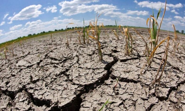 Advierten El Niño provocará sequías más severas y picos de calor