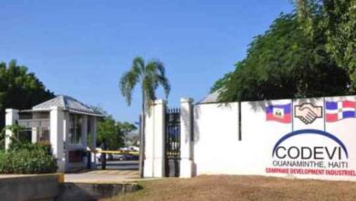 Por muerte de compatriotas haitianos no acuden a trabajar a zona franca CODEVI