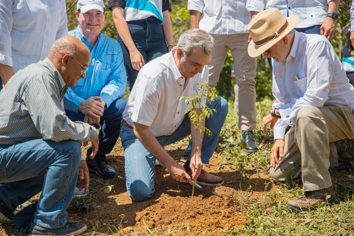 Presidente Luis Abinader: «Plan de Reforestación es de seguridad nacional»