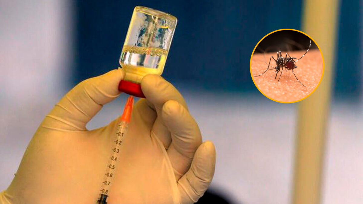 Es aprobada la primera vacuna contra La chikunguña