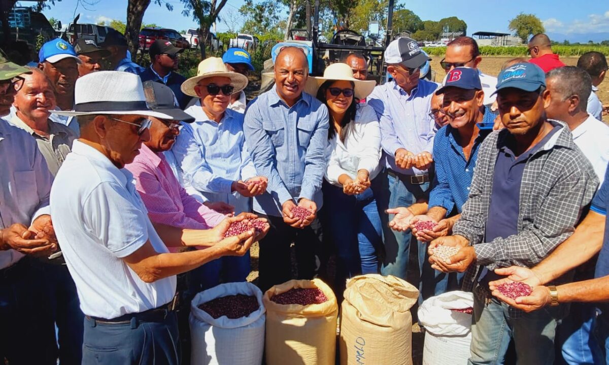 Agricultura inicia siembra de habichuelas en San Juan