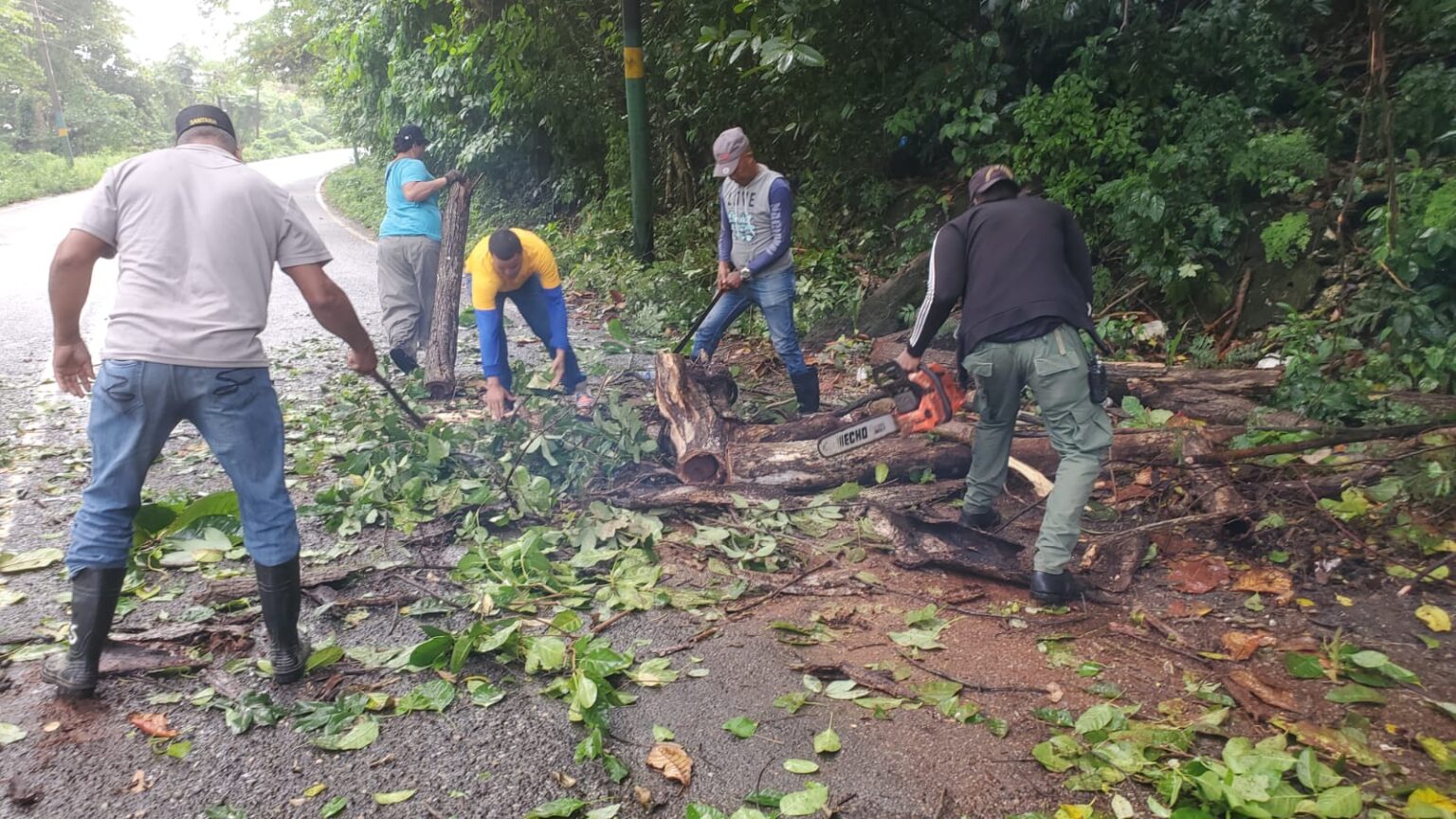 Lluvias derrumban árboles e inundan calles en Cabrera y Río San Juan