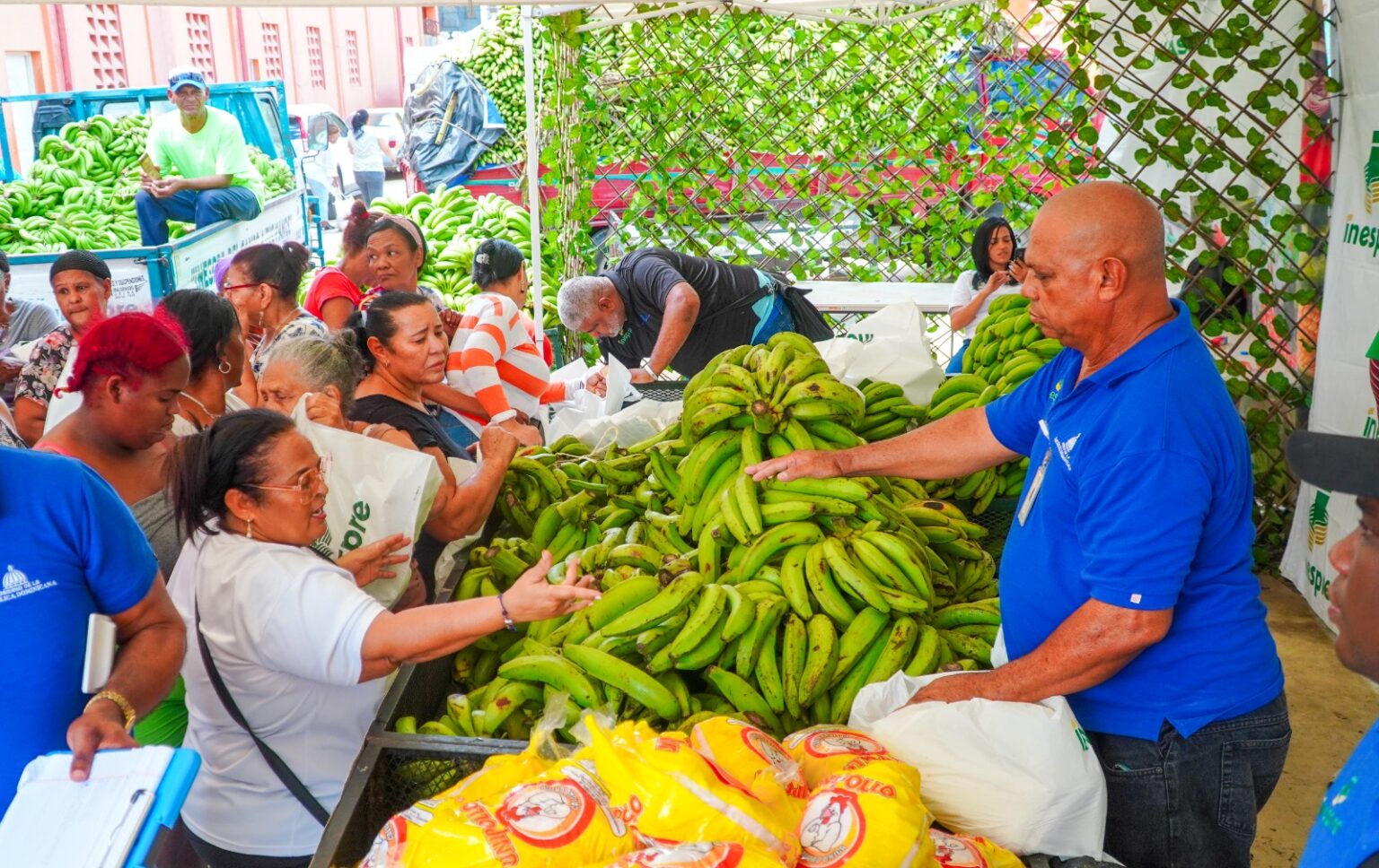 Inespre inicia compra 14 millones de plátanos a productores afectados por ventarrón 